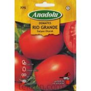 Anadolu - 775 Sebze Tohumu Domates Rio Seri - 1