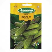 Anadolu -816 Hıyar Sebze Tohumu F1 Seri-2