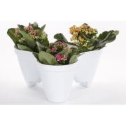 Modüler Dekoratif 3'lü Saksı MNG.0370 vcb9794 Beyaz
