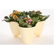 Modüler Dekoratif 3'lü Saksı MNG.0370 vcb9794 Krem