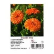 Vilmorin Aynı Sefa Çiçek Tohumu Seri-1