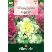 Vilmorin-126 Süs Lahanası Çiçek Tohumu Seri-1