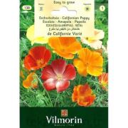 Vilmorin-138 Acem Lalesi Karışık Seri-1 Çiçek Tohumu