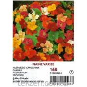 Vilmorin -168 Çiçek Tohumu Latin Çiceği Seri-1