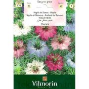 Vilmorin-170 Çörekotu Tohumu Seri-1