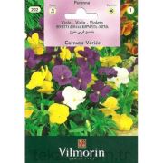 Vilmorin-202 Karışık Menekşe Tohumu Seri-1