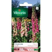 Vilmorin -327 YüksükOtu Çiçek Tohumu Seri-1