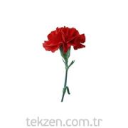 Vilmorin- 346 Kırmızı Karanfil Çiçek Tohumu