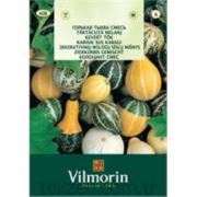 VİLMORİN-408 Süs Kabakları Çiçek Tohumu Seri-1
