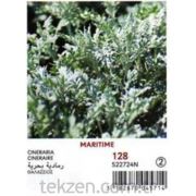 Vilmorin -128 Kuş Otu Çiçek Tohumu Seri-2