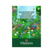 Vilmorin -142 Japon Çim Çiçekleri Çiçek Tohumu Seri-2