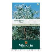 Vilmorin -410 Okaliptus Çiçek Tohumu Seri-2