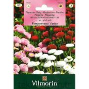 Vİlmorin-162 Şeker Tabağı Tohumu Seri-3