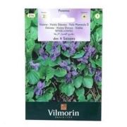 Vilmorin-214 Kır Menekşesi Çiçek Tohumu Seri-1