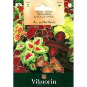 Vilmorin-130 Yaprak Güzeli Çiçeği Tohumu