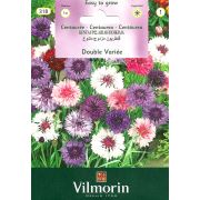Vilmorin-318 Kantaron Çiçek Tohumu Seri-1