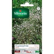 Vilmorin - 356 Beyaz Bahar Yıldızı Çiçek Tohumu Seri-1