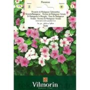 Vİlmorin-172 Madagaskar Menekşesi Tohumu