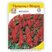 Vilmorin -190 Ateş Çiçeği Çiçek Tohumu Seri-2