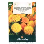 Vilmorin-193 Kadife Çiçeği Tohumu Seri-2