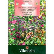 Vilmorin-328 Uzun Boylu Çiçekler Tohumu Seri-2