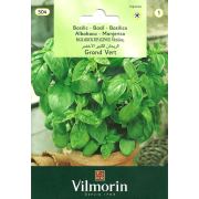 Vilmorin-504 İri Yapraklı Fesleğen Tohumu Seri-1
