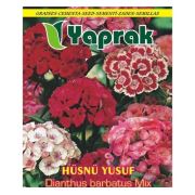 Yaprak Hüsnü Yusuf Çiçek Tohumu