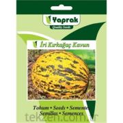 Yaprak İri Kırkağaç Kavun Sebze Tohumu 5 Gram