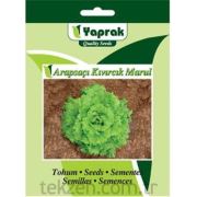 Yaprak Arapsaçı Kıvırcık Marul Sebze Tohumu 10 Gram