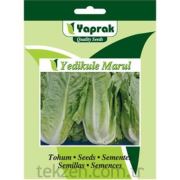 Yaprak Yedikule Marul Sebze Tohumu 10 Gram
