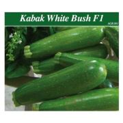 Yaprak White Bush F1 Kabak Sebze Tohumu 5 Gram