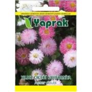 Yaprak Çiçek Tohumu Yıldız Çiçeği Kaliforniya