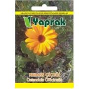 Yaprak Çiçek Tohumu Nergis Calendula Officinalis