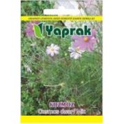Yaprak Çiçek Tohumu Kozmoz Cosmos dwarf Mix